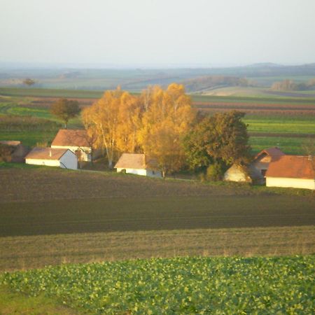 Gaestezimmer Rieder Staatz Esterno foto