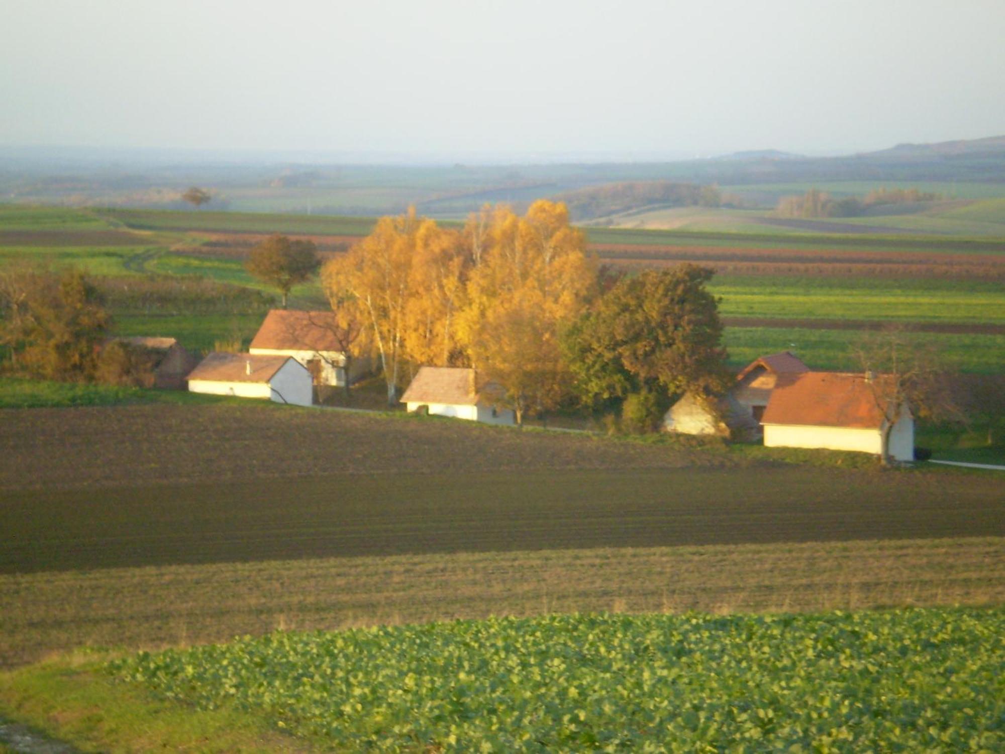 Gaestezimmer Rieder Staatz Esterno foto