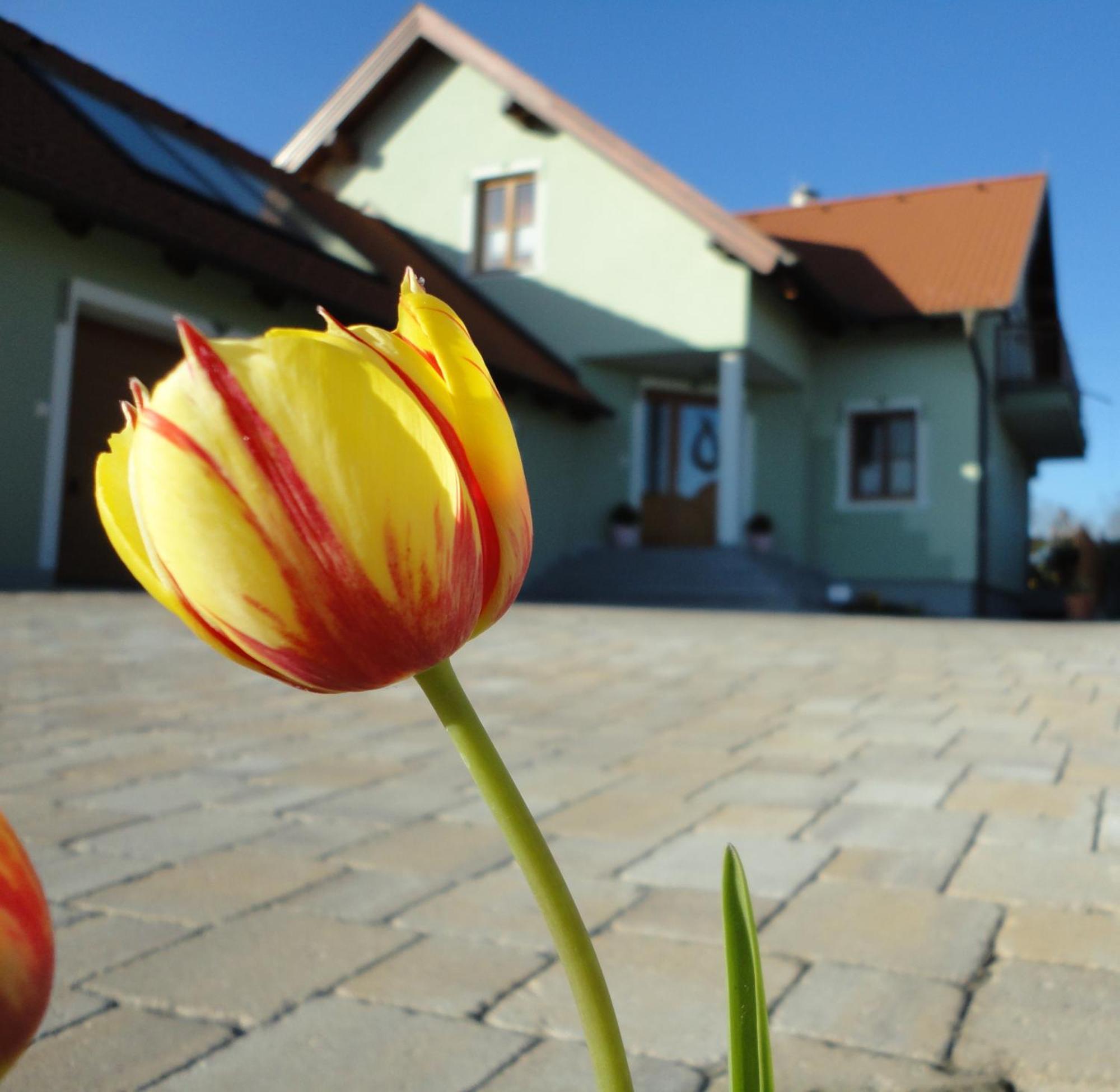 Gaestezimmer Rieder Staatz Esterno foto