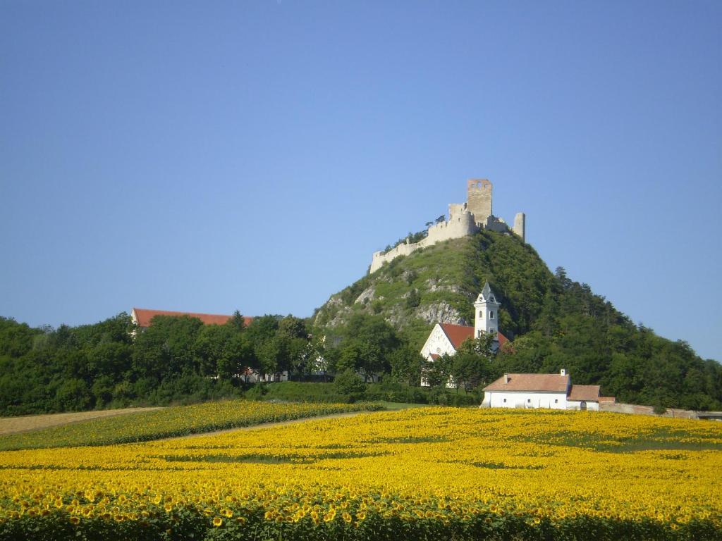 Gaestezimmer Rieder Staatz Esterno foto